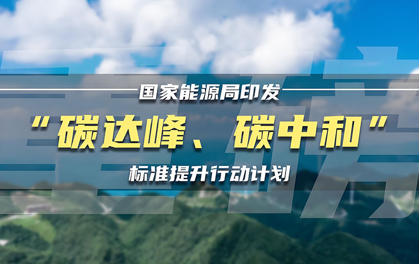 1750419889300963.jpg 碳中和.jpg